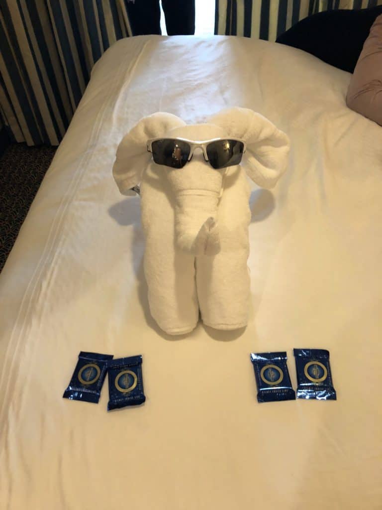 Elephant towel in the cabin on Alaska Cruise