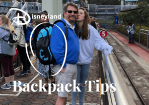 Disneyland Backpack Holder