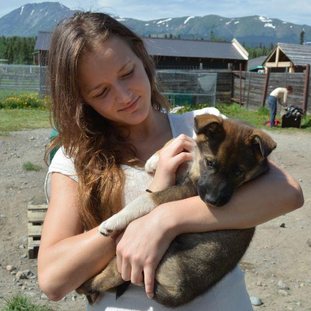 Young woman holding a puppy at an Alaskan Cruise Dog Sledding Tour